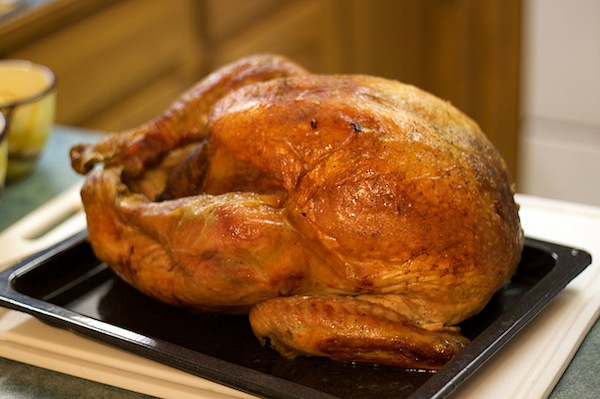 Thanksgiving Turkey thanksgiving turkey