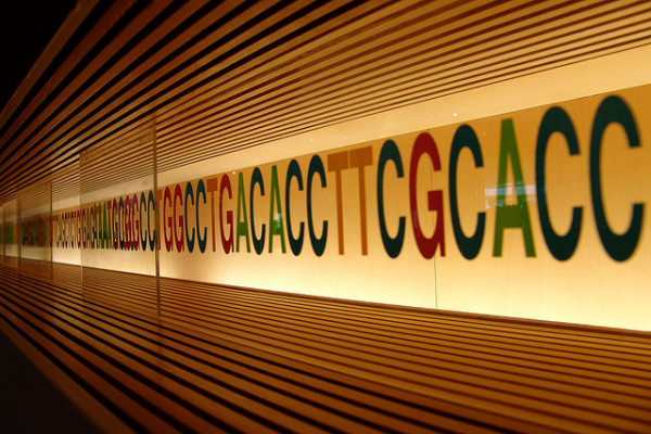 dna dna
