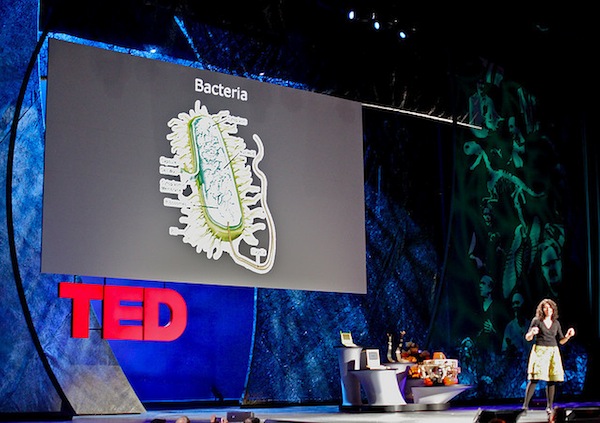 Bonnie Bassler TED Bonnie Bassler TED