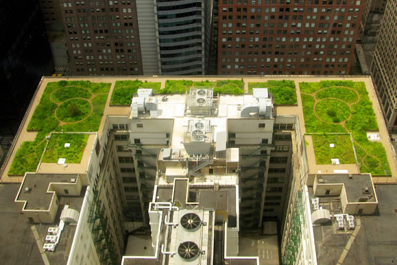 Rooftop Workplace of Tomorrow