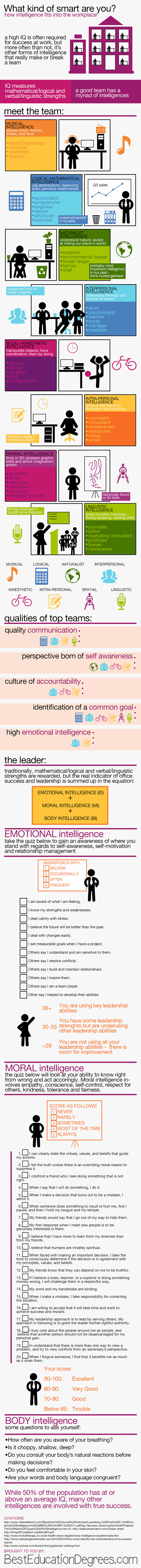 what kind of smart are you infographic