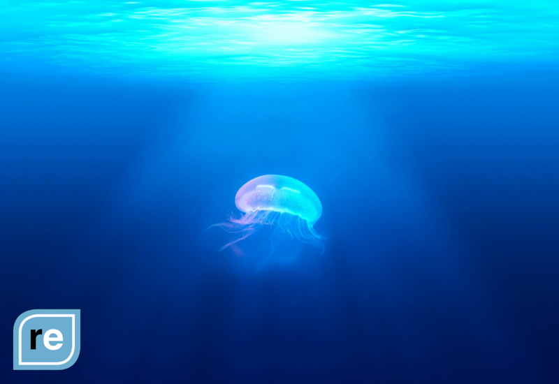 Jellyfish serenely drifting in a blue ocean, symbolizing AI's fluid adaptation in productivity enhancement.