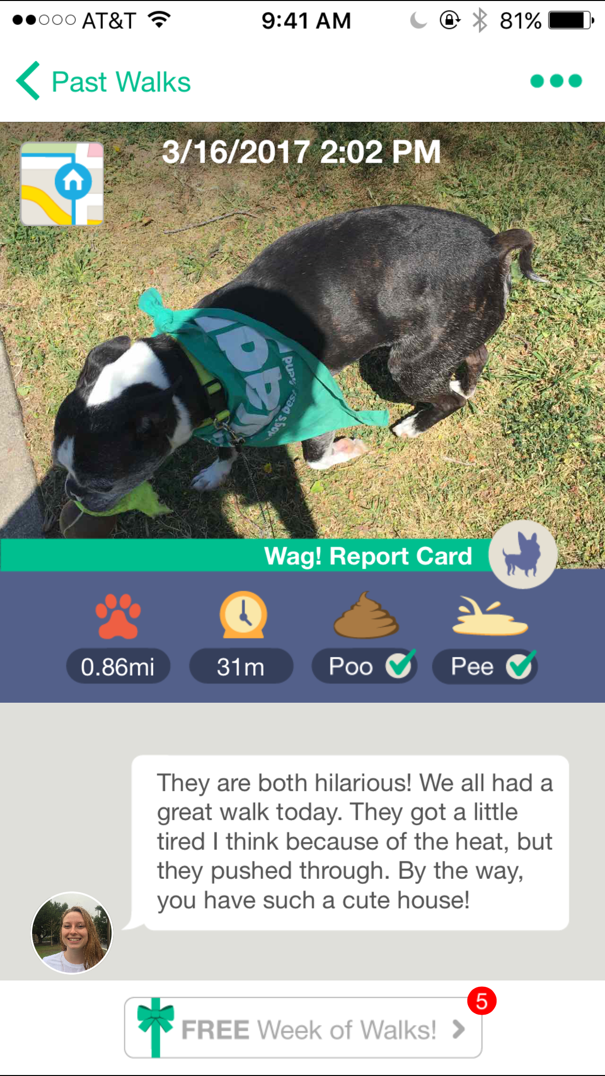 wag-walk-report-card