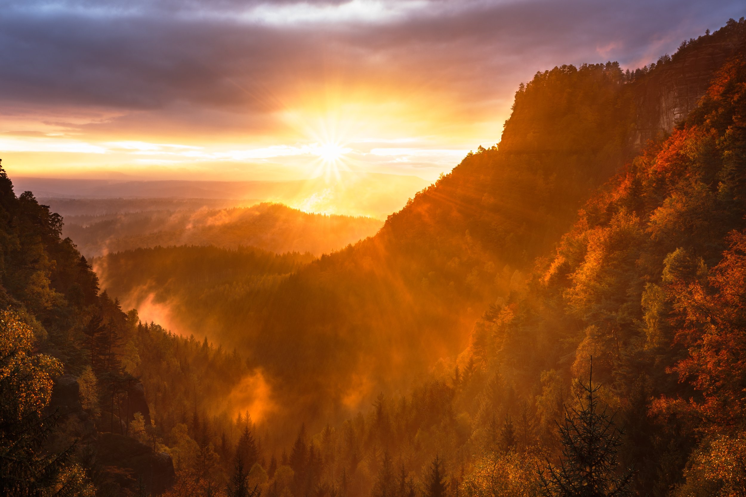 Sunrise rays piercing through the misty forest, reflecting the awakening of AI in daily life optimization.