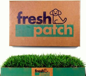 fresh-patch-potty-pad