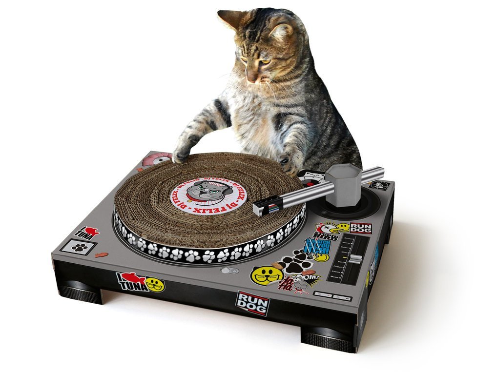cat-scratch-dj-deck