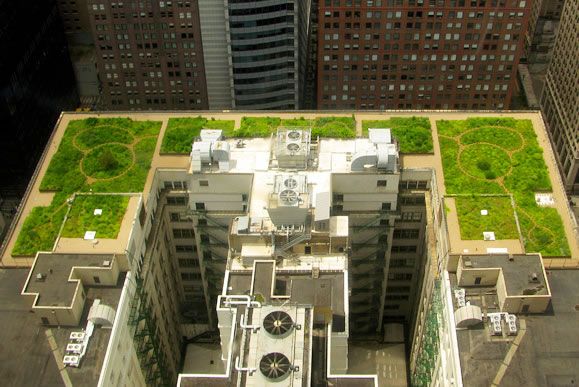 Avant-Garde Offices: The Rooftop Workplace of Tomorrow