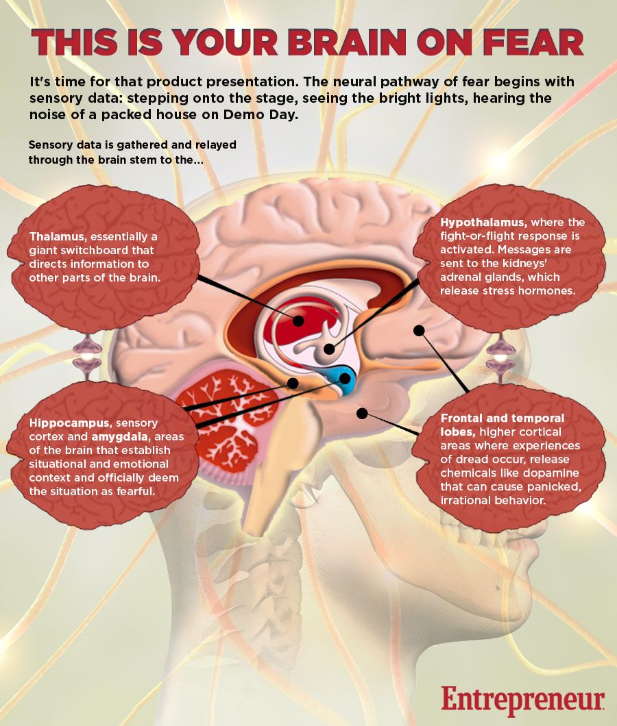 This is Your Brain on Fear [INFOGRAPHIC]
