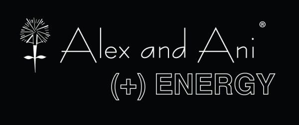 Alex and Ani: The Value of Hard Work