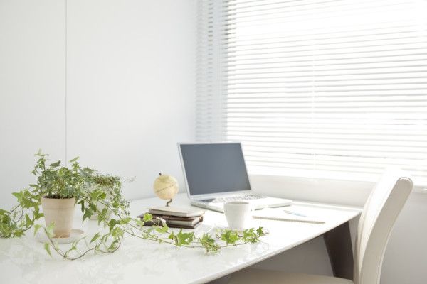 Want to Become More Productive? Get a Desk Plant