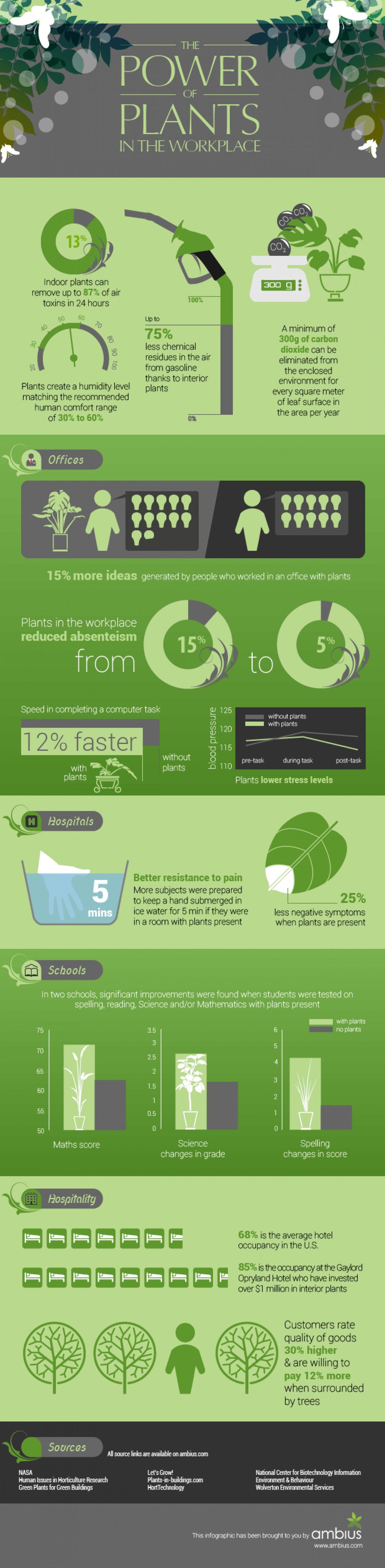 The Power of Plants in the Workplace [Infographic]