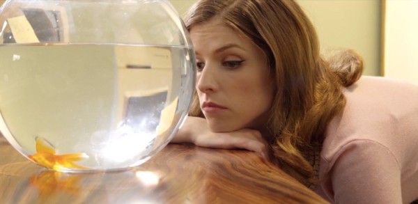 Anna Kendrick Exposes a Typical Unproductive Workday