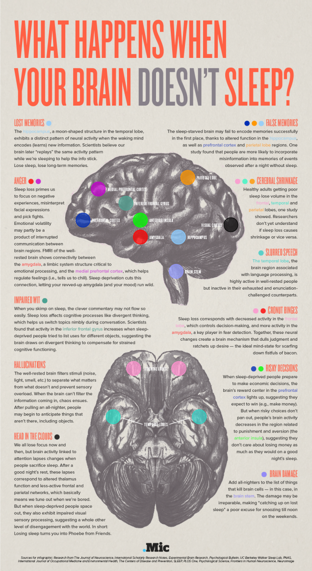 What Happens When Your Brain Doesn't Sleep? [Infographic]