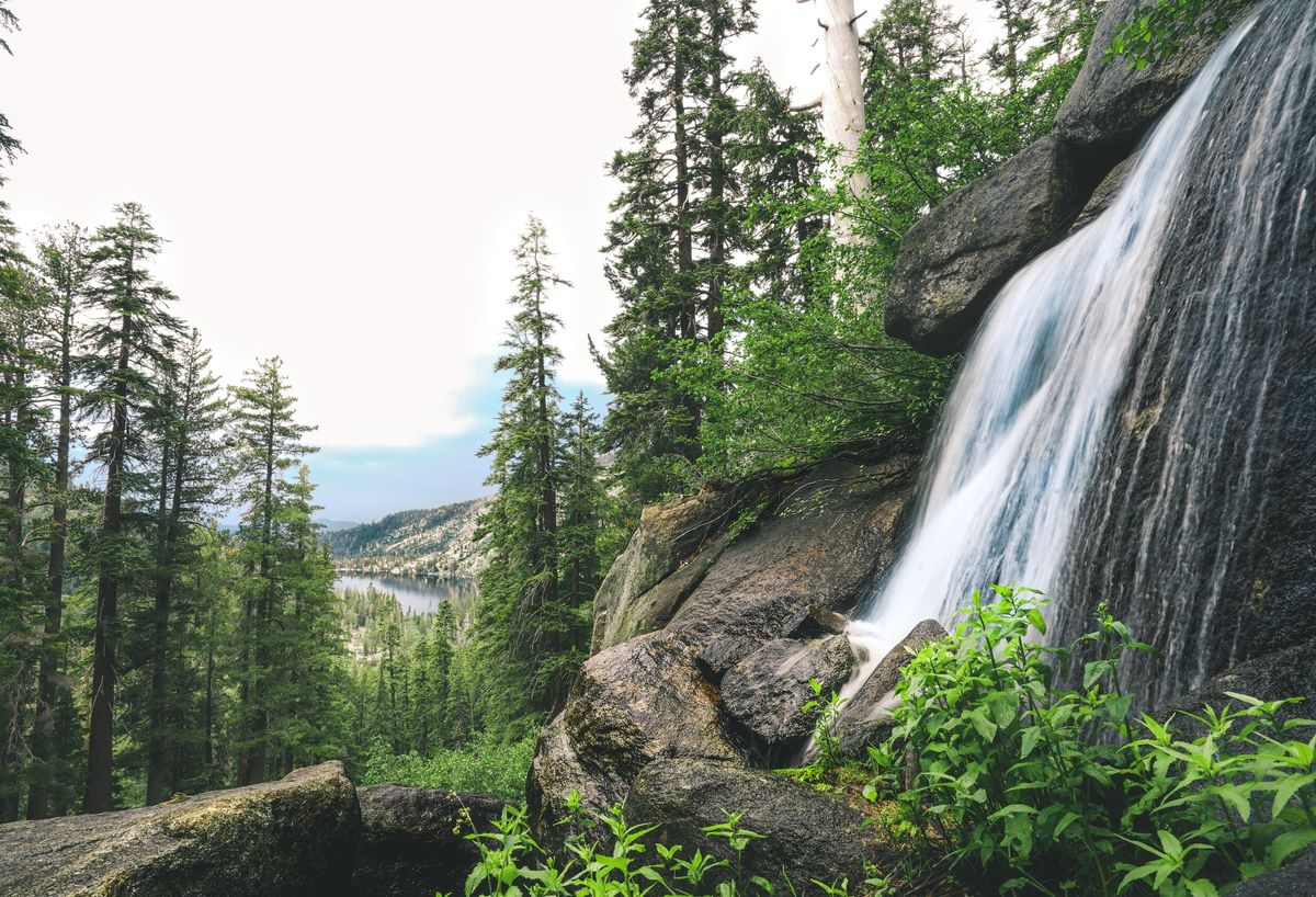 Waterfall flowing through a lush forest, illustrating the fluidity and renewal of time in AI-enhanced productivity.