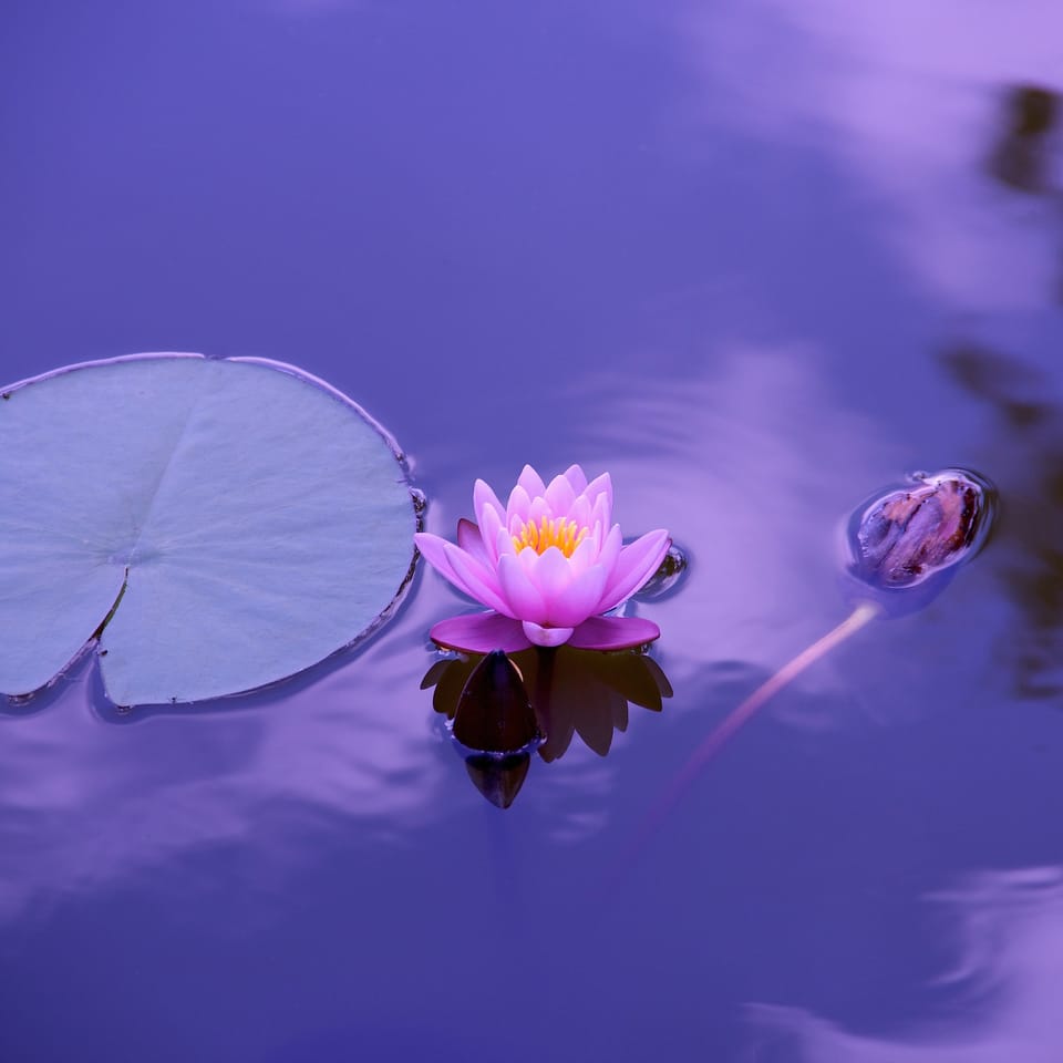 Motivation Monday: 6 Steps to a Positive Mindset