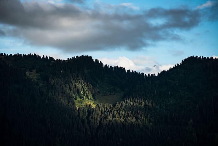 Frictionless Friday: The INO Technique Will Stop Perfectionism In Its Tracks